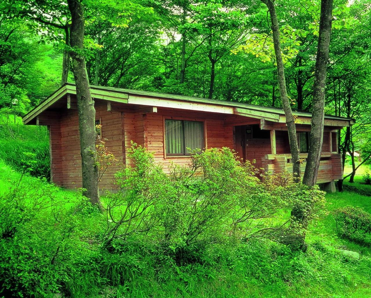 ฮาโกเน่-เอง คอตเทจ Villa ภายนอก รูปภาพ