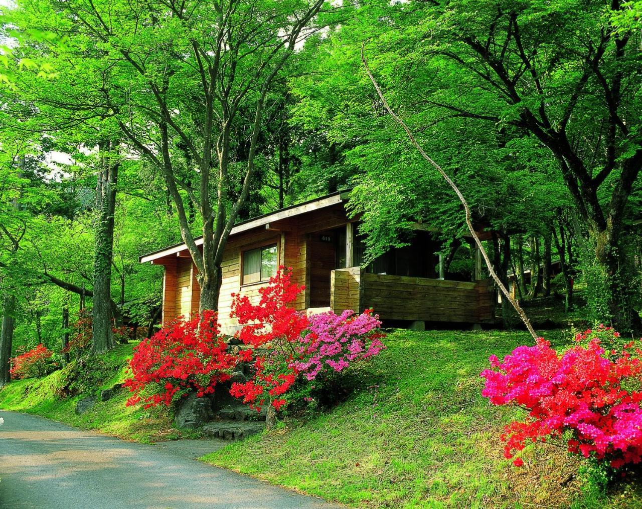 ฮาโกเน่-เอง คอตเทจ Villa ภายนอก รูปภาพ